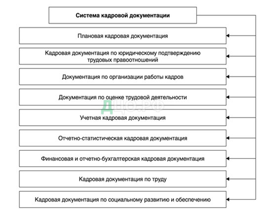 Дипломная работа: Совершенствование документирования управленческой деятельности